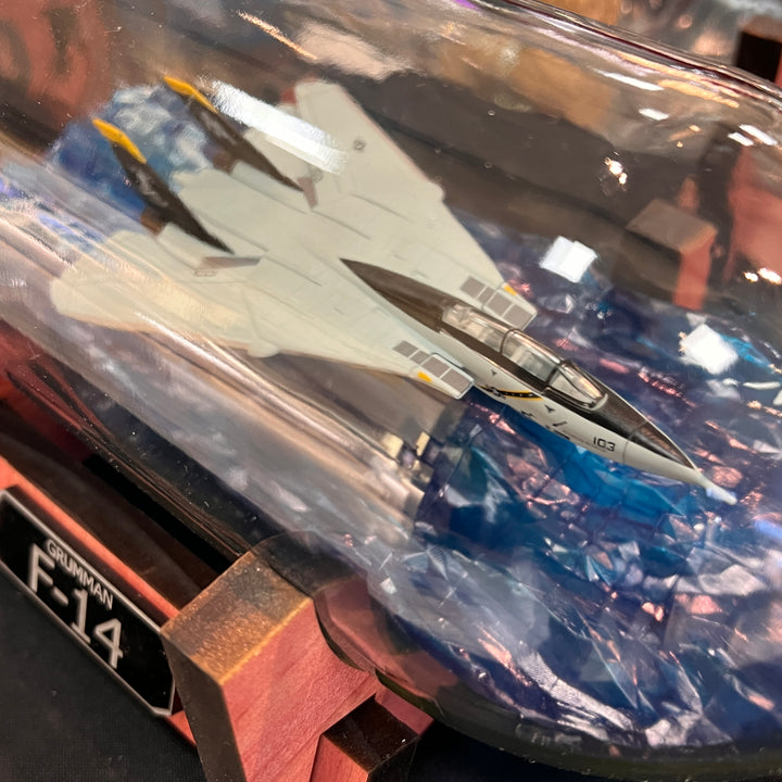 Jolly Roger’s F-14 Tomcat Over Water in a Bottle