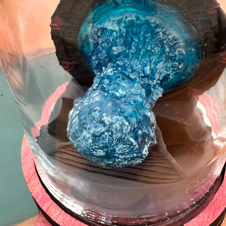 Stargate Activation in a Bottle