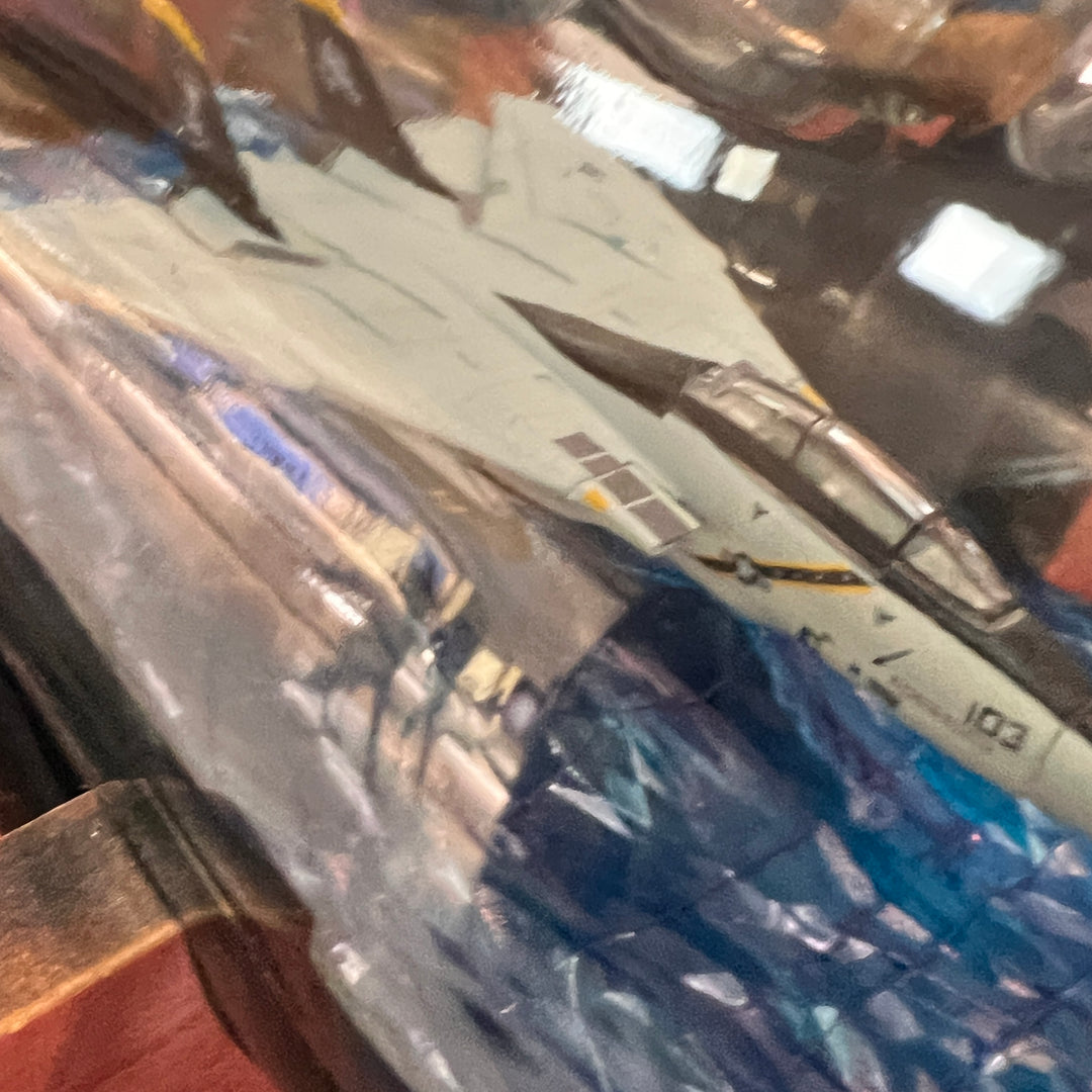 Jolly Roger’s F-14 Tomcat Over Water in a Bottle