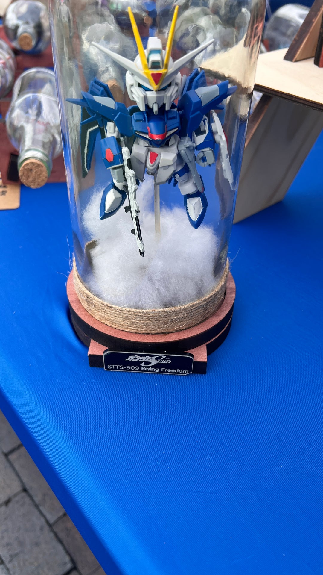 Gundam Rising Freedom Starship in a Bottle